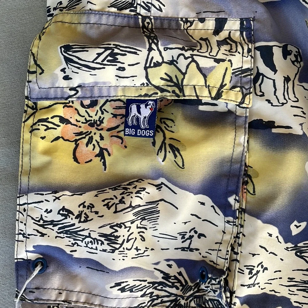 Big Dogs. men’s swim